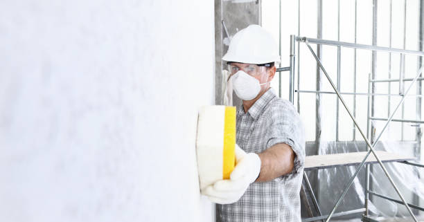 Why You Should Choose Our Mold Remediation Services in Kingwood, WV